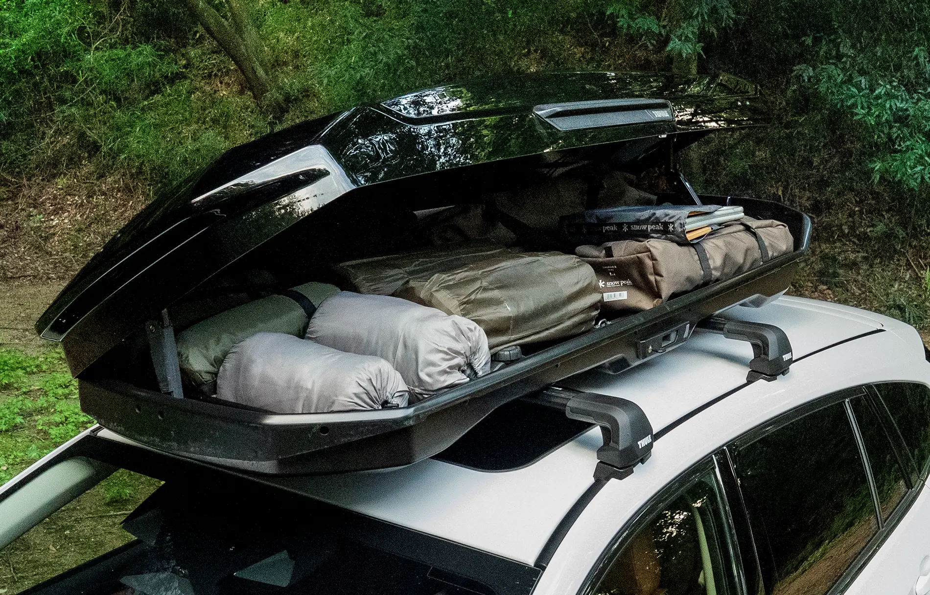 Thule Motion 3